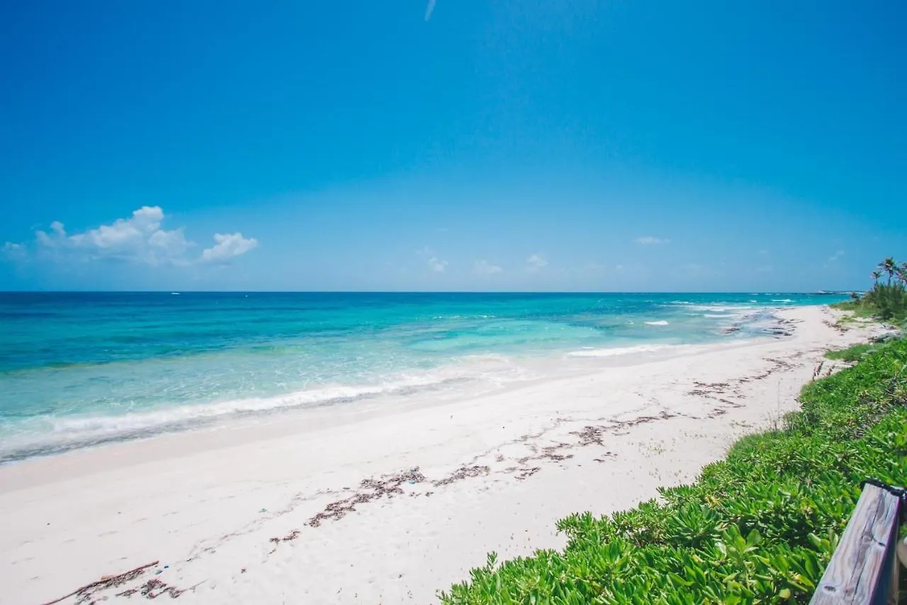 Pink Sand Cottage Cottage Double Bay