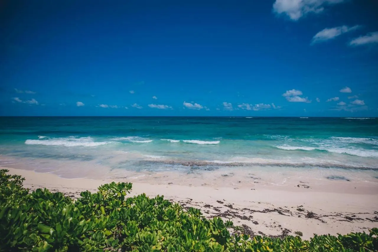 Pink Sand Cottage Cottage Double Bay 0*,  Bahamas